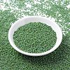 MIYUKI Round Rocailles Beads X-SEED-G007-RR0480-2