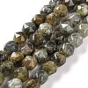 Natural Sunstone Stone Beads Strands G-NH0021-A05-01-1