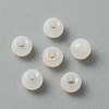 Handmade Lampwork Beads LAMP-TAC0001-05K-1