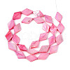 Dyed Natural Freshwater Shell Beads Strands SHEL-T020-13G-2
