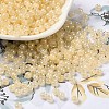Glass Seed Beads SEED-H002-H-1308-1