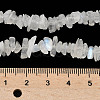 Natural Rainbow Moonstone Chip Beads Strands G-C195-01-5
