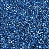 MIYUKI Delica Beads SEED-X0054-DB0149-2