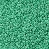 TOHO Round Seed Beads X-SEED-TR08-0156-2
