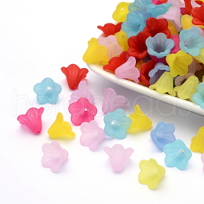 Frosted Acrylic Beads PL692-1