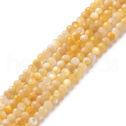 Natural Golden Yellow Shell Beads Strands SSHEL-G029-01B-1