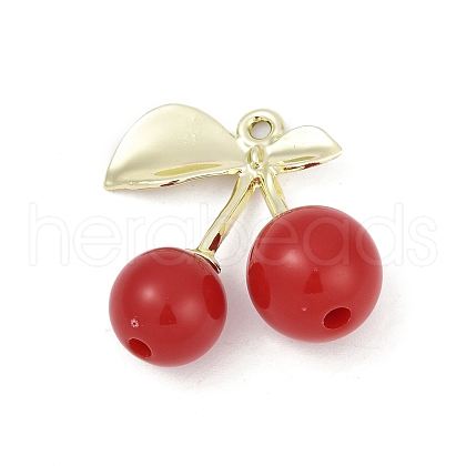 Alloy & Acrylic Pendants PALLOY-S053-01LG-D-1