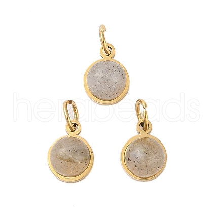 Ion Plating(IP) Natural Labradorite Half Round Charms with Jump Ring STAS-A097-05G-01-1