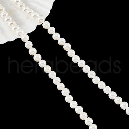 Glass Pearl Beads Strands SHEL-WH0001-009A-1-1