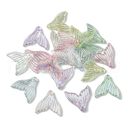 Transparent Acrylic Pendants OACR-O006-04-1
