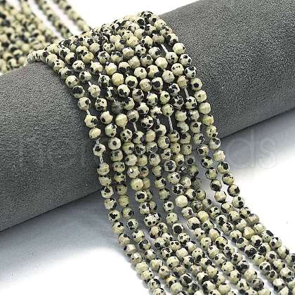 Natural Dalmatian Jasper Beads Strands G-A260-A10-01-1