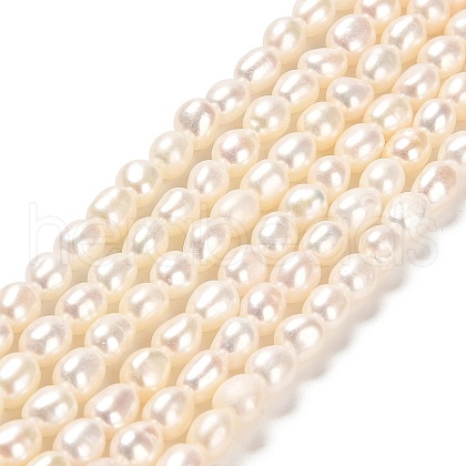 Natural Cultured Freshwater Pearl Beads Strands PEAR-E016-105-1