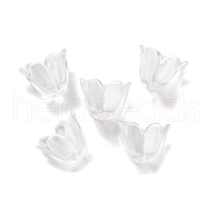 Transparent Acrylic Bead Caps OACR-M011-13-1
