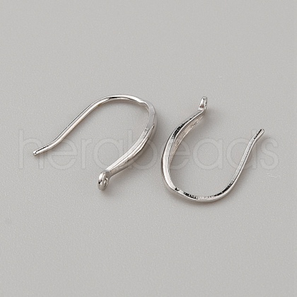 Sterling Silver Earring Hooks STER-WH0013-01-1