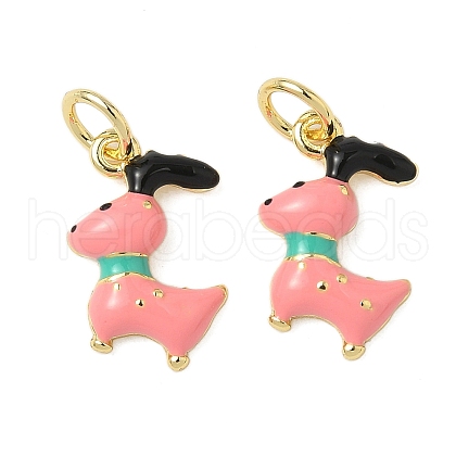 Brass Enamel Charms KK-K293-46G-1