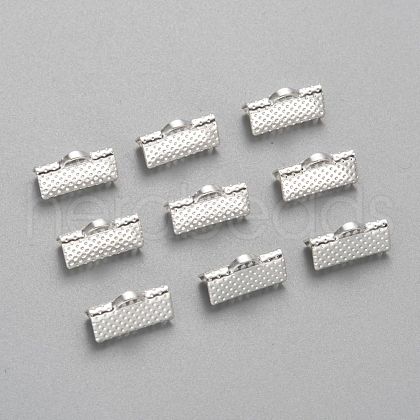 Iron Ribbon Crimp Ends E005Y-S-1