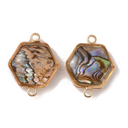 Natural Abalone Shell/Paua Shell Connector Charms KK-WH0031-05B-1