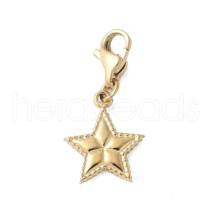 304 Stainless Steel Star Pendant Decoration STAS-S165-08G-1