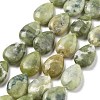 Natural Xinyi Jade/Chinese Southern Jade Beads Strands G-P528-L26-01-2