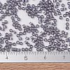 MIYUKI Delica Beads X-SEED-J020-DB1789-4