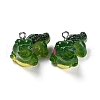 Opaque Resin Pendants RESI-G077-01-1