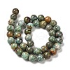 Natural Turquoise Beads Strands G-P506-04D-01-2