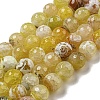 Faceted Natural Fire Crackle Agate Beads Strands G-F447-12mm-N02-2