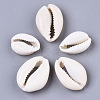 Natural Cowrie Shell Beads SSHEL-N034-34-2