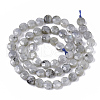 Natural Labradorite Beads Strands G-S362-025-2