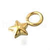 304 Stainless Steel Charms STAS-H233-14G-2