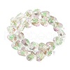 Handmade Transparent Lampwork Beads BLOW-D300-07C-2