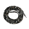 Natural Eagle Eye Stone Beads Strands G-RM250101-E6-5