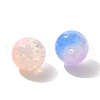 Mixed Style Glass Beads GLAA-XCP0012-02F-2