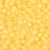 6/0 Luminous Glass Seed Beads SEED-NH0001-01L-4