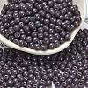 Opaque Colours Glass Seed Beads SEED-C001-02B-08-1