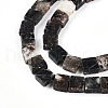 Natural Biotite Beads Strands G-N346-05A-01-4