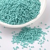 MIYUKI Delica Beads SEED-X0054-DB1136-1
