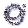 Handmade Lampwork Beads Strands LAMP-I027-09J-1