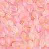 Frosted Glass Seed Beads SEED-N008-05B-3