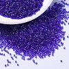MIYUKI Delica Beads SEED-X0054-DB1896-2