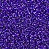 MIYUKI Round Rocailles Beads SEED-G007-RR0020-3