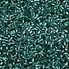 Glass Bugle Beads SEED-S032-08A-51A-3