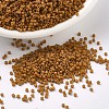 MIYUKI Delica Beads SEED-J020-DB0653-1