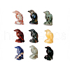 Mixed Gemstone Display Decorations DJEW-PW0009-016-1