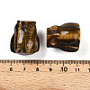 Natural Tiger Eye Owl Display Decorations G-N345-04F-3