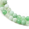 Natural Chrysoprase Beads Strands G-C196-A02-2mm-4