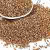 Electroplate Glass Seed Beads SEED-H003-08I-1