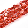 Natural White Shell Beads Strands SHEL-N036-21F-1