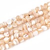 Natural Trochid Shell/Trochus Shell Beads Strands SSHEL-N040-11-1