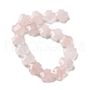 Natural Rose Quartz Beads Strands G-K357-C12-01-3